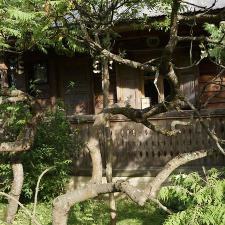 Woodenhouse Maramures Vişeu de Sus Exterior foto