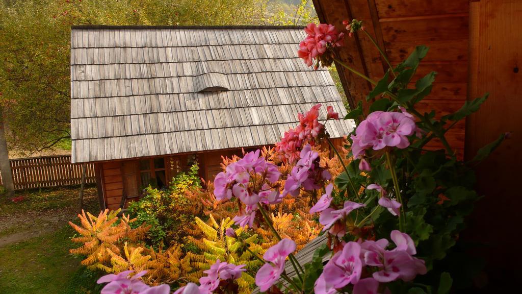 Woodenhouse Maramures Vişeu de Sus Exterior foto