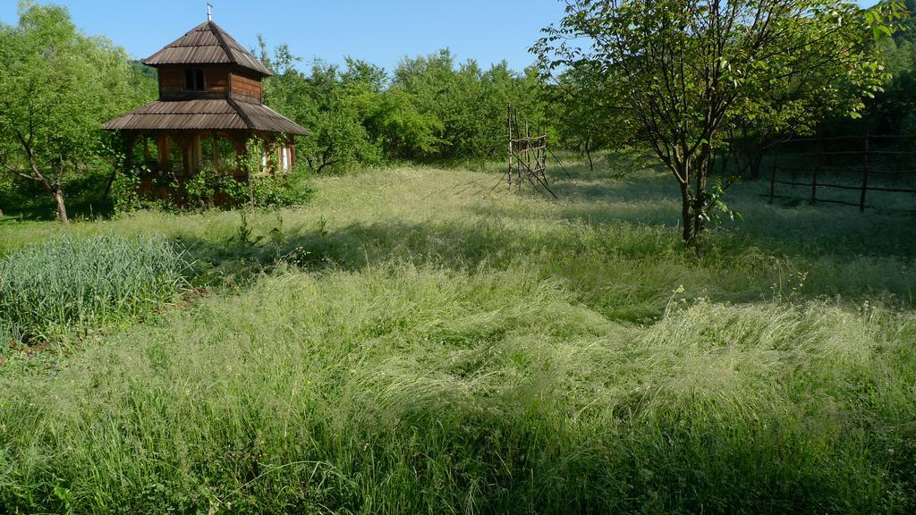 Woodenhouse Maramures Vişeu de Sus Exterior foto