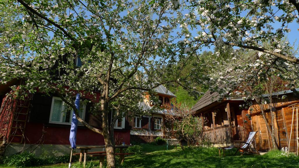 Woodenhouse Maramures Vişeu de Sus Exterior foto