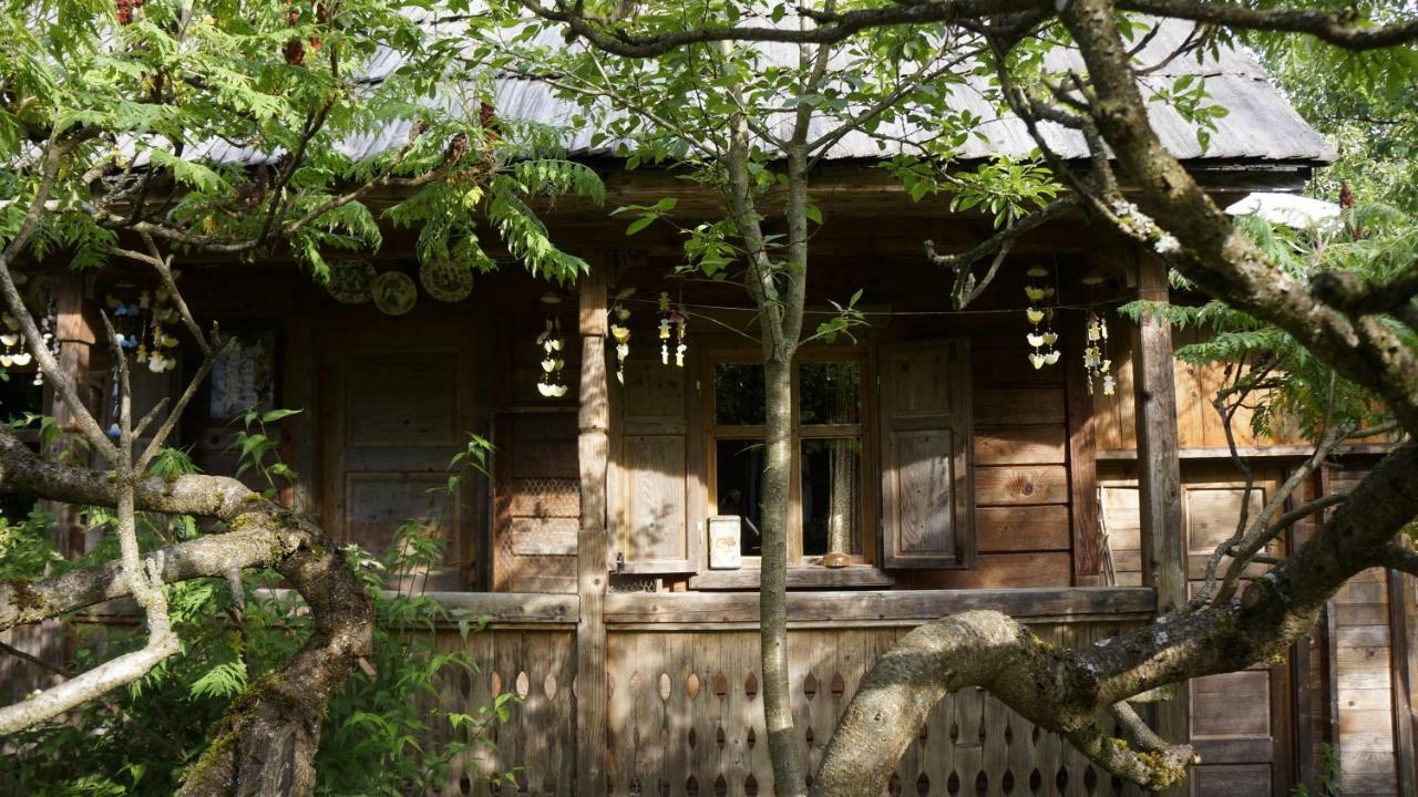 Woodenhouse Maramures Vişeu de Sus Exterior foto